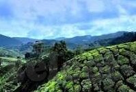 足球全部比分-足球比分全解析，从数据洞察绿茵场上的风云变幻